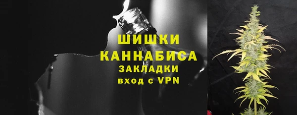 ПСИЛОЦИБИНОВЫЕ ГРИБЫ Заволжье