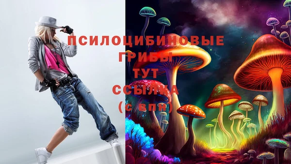 марки lsd Ельня