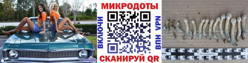 Галлюциногенные грибы мицелий  Купить закладки  Енисейск 